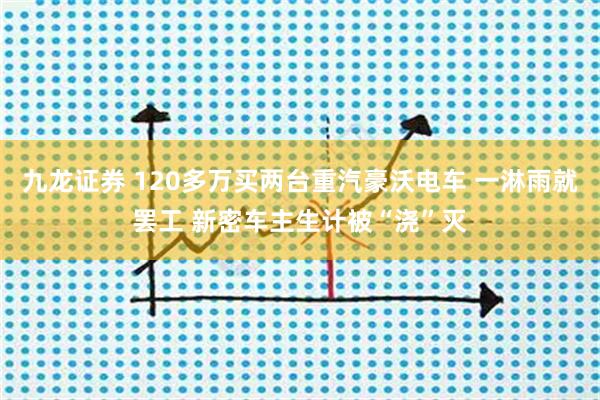 九龙证券 120多万买两台重汽豪沃电车 一淋雨就罢工 新密车主生计被“浇”灭